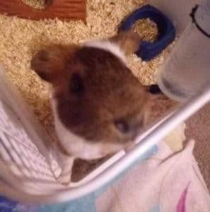 Meet your Posher, Chloe